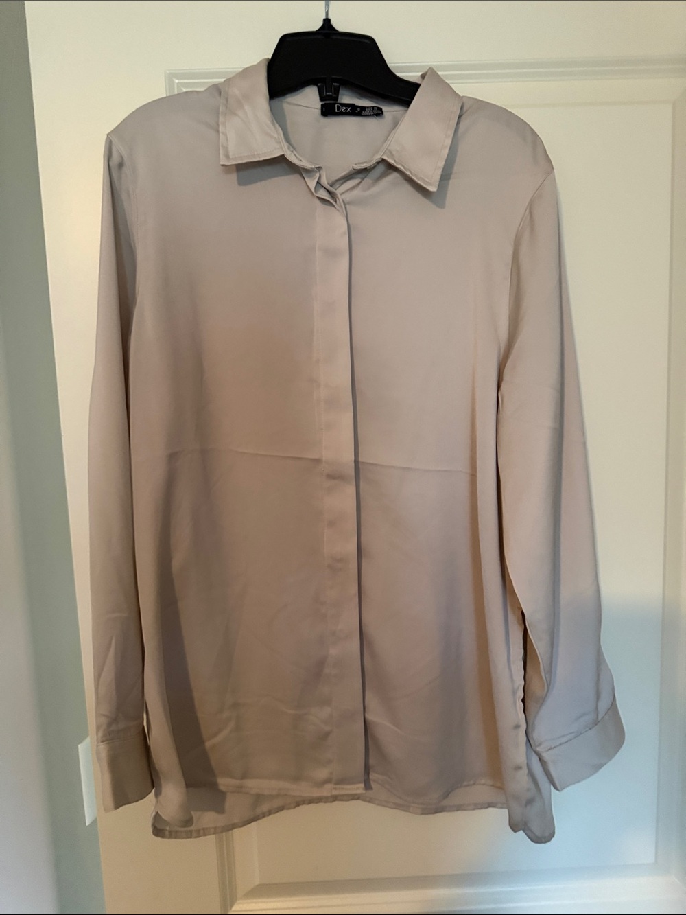 Dex Light Taupe Hidden-Button Blouse
